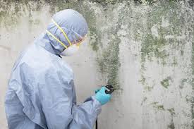 Why You Should Choose Our Mold Remediation Services in Galax, VA